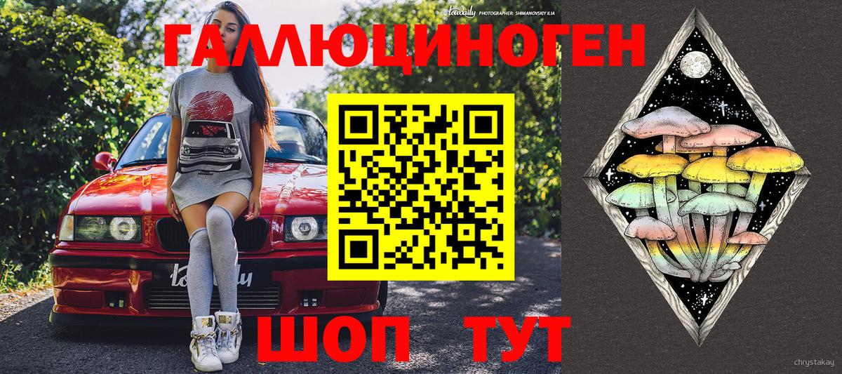 Галлюциногенные грибы прущие грибы Россия