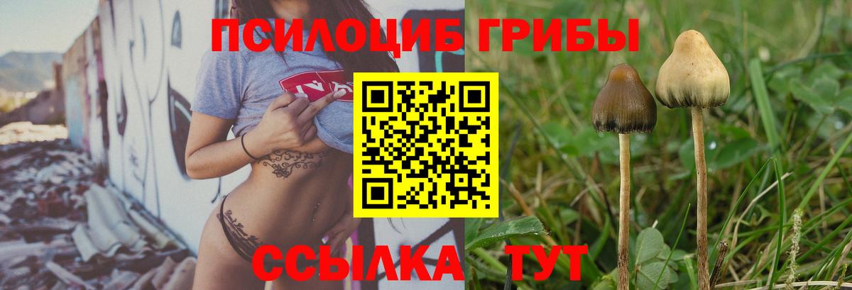 Псилоцибиновые грибы GOLDEN TEACHER  Псилоцибиновые грибы мухоморы  Вход с VPN  купить  сайты  Россия 